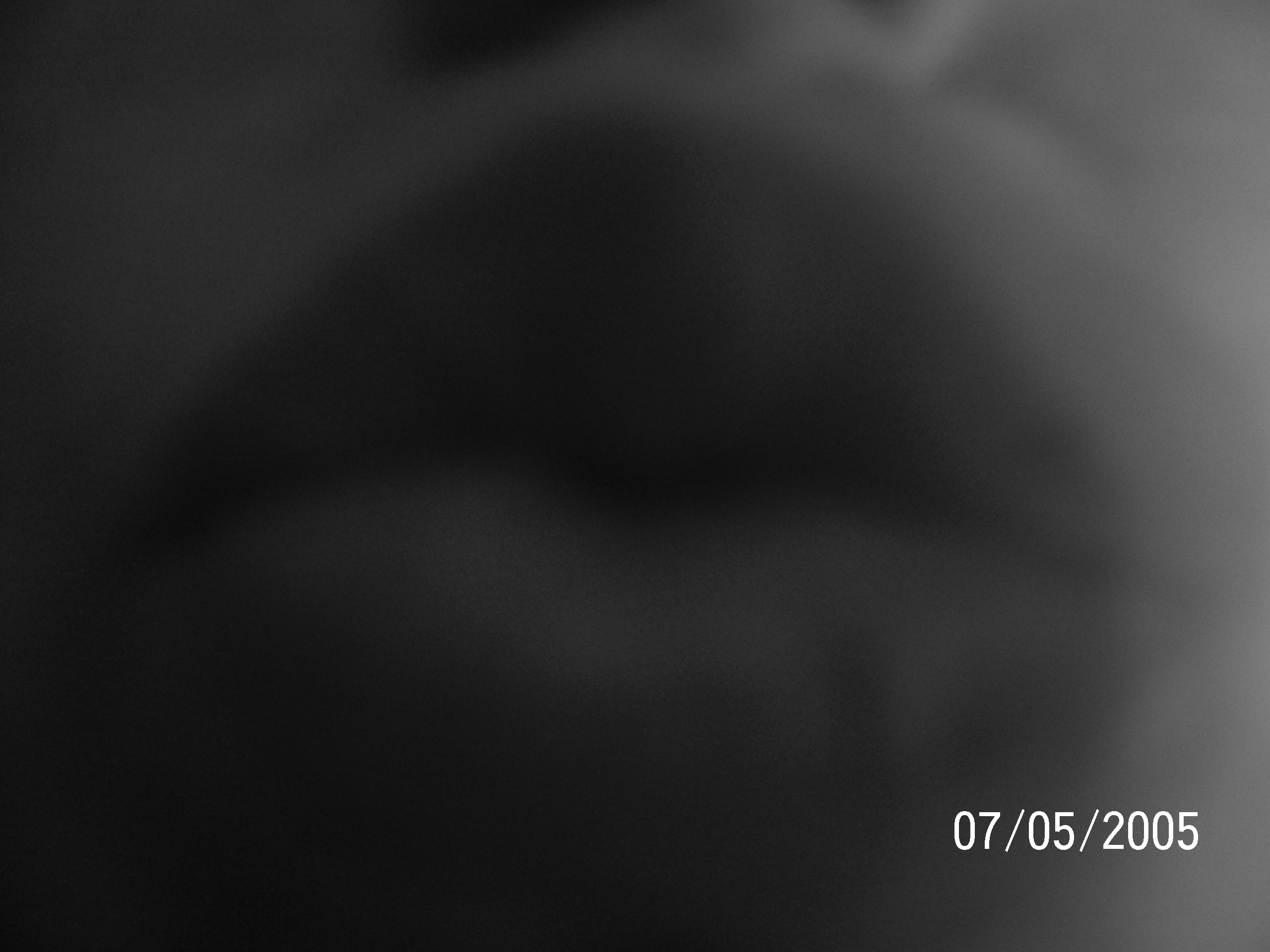 100_0386.jpg